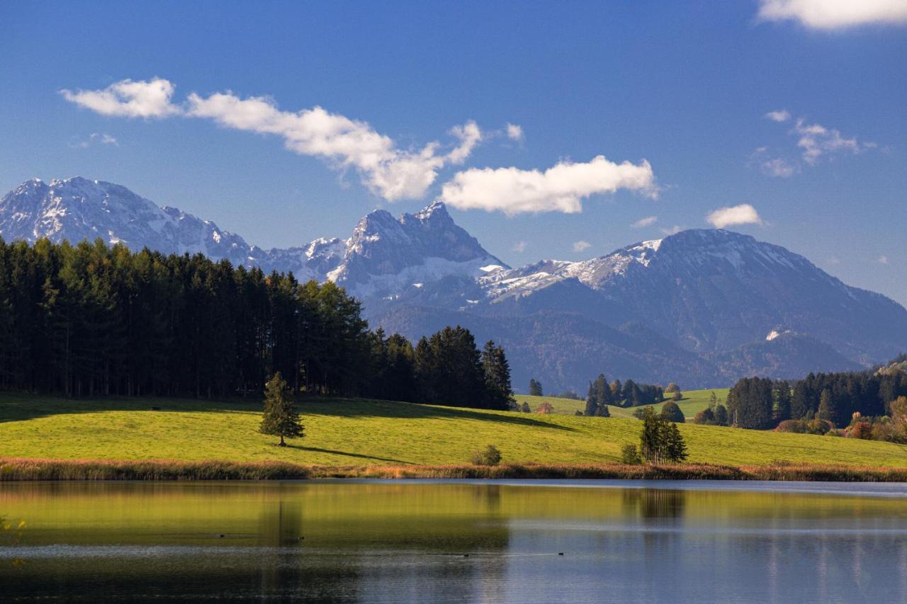 Alpflower Halblech